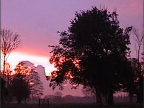 The Stables At Henham Park Bed & Breakfast Саутуолд Екстериор снимка